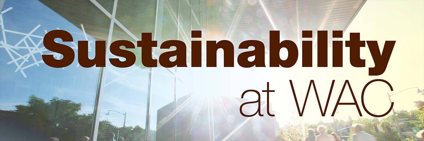 Sustainability Sustainability